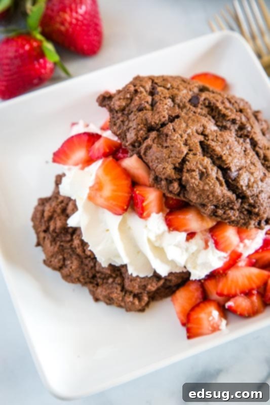 Strawberry Chocolate Dream 4 Chocolate strawberry shortcake with fresh whipped cream and lots of strawberries