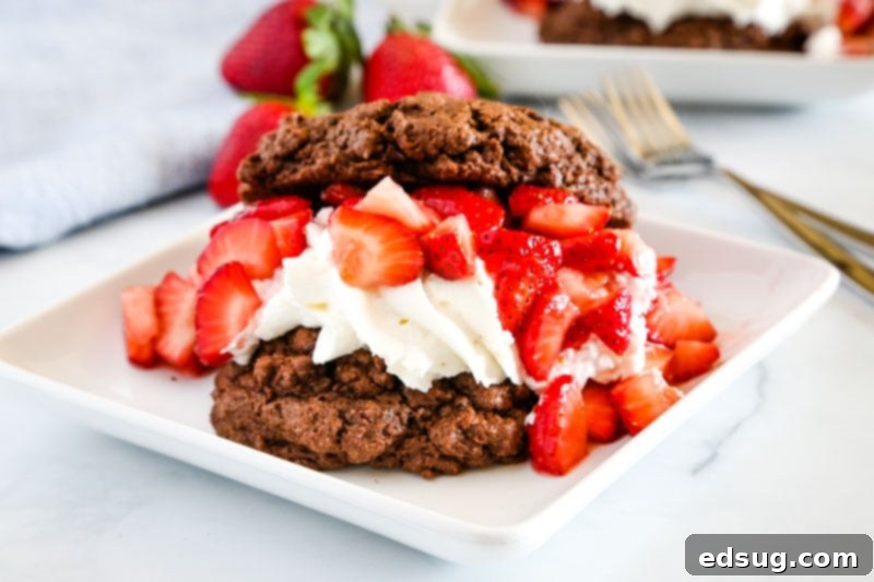 Strawberry Chocolate Dream 5 A decadent Chocolate Strawberry Shortcake, layered with rich biscuits, fresh berries, and fluffy cream.