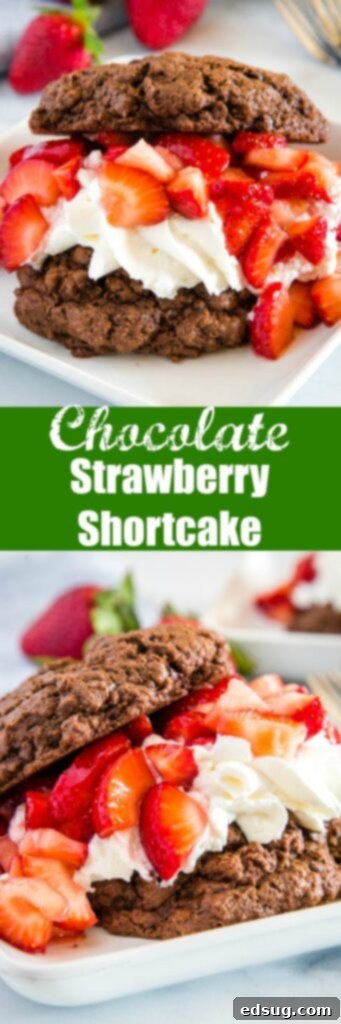 Strawberry Chocolate Dream 6 A close-up of a delightful Chocolate Strawberry Shortcake, showcasing its layers of rich chocolate biscuit, vibrant strawberries, and airy whipped cream.