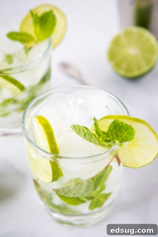 Minty Agave Bliss 3 Ingredients for a Mojito Margarita including fresh mint, lime, tequila, and simple syrup