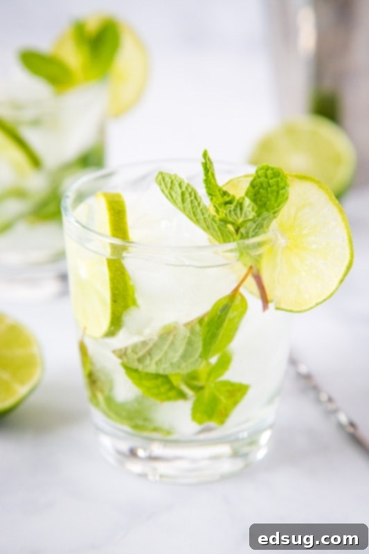 Minty Agave Bliss 4 A refreshing and delicious mojito margarita cocktail garnished with lime and mint