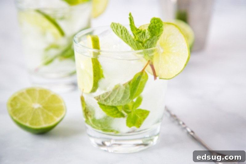 Minty Agave Bliss 5 Finished Mojito Margarita cocktail ready to be served