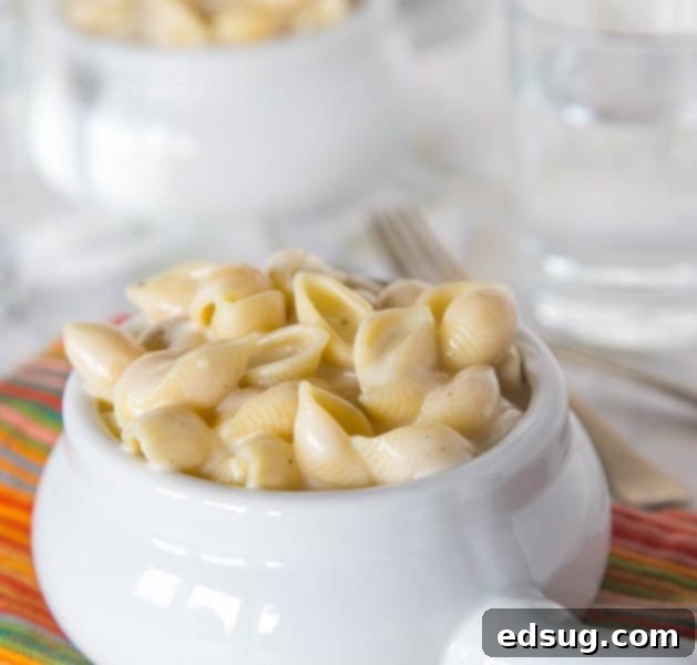 A creamy bowl of Copycat Panera Mac and Cheese, perfectly cheesy and comforting.