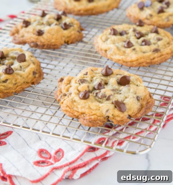 Irresistible DoubleTree Chocolate Chip Cookies cooling on a rack, loaded with chocolate chips.