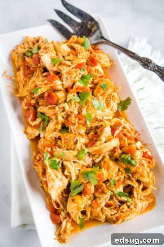 Zesty Instant Pot Salsa Chicken 2 Salsa Chicken made in the Instant Pot