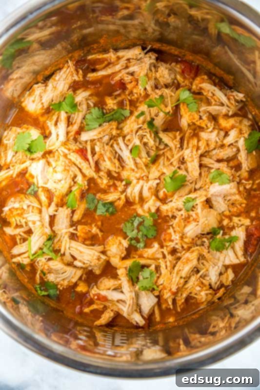 Zesty Instant Pot Salsa Chicken 3 Shredded salsa chicken made in the Instant Pot