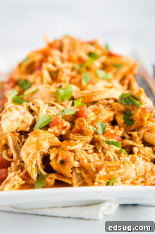 Zesty Instant Pot Salsa Chicken 5 Chicken and salsa in the instant pot