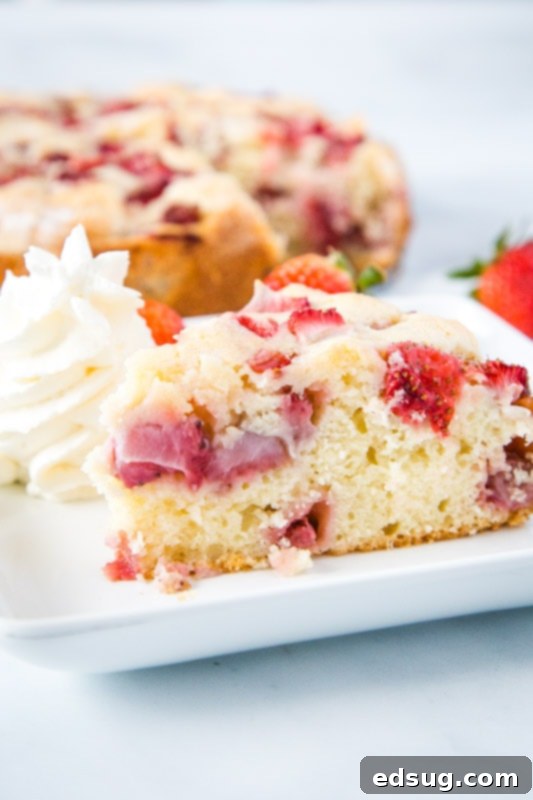 Velvet Strawberry Delight 2 Strawberry French Cake served with whipped cream, showing a slice revealing the moist interior and fresh berries
