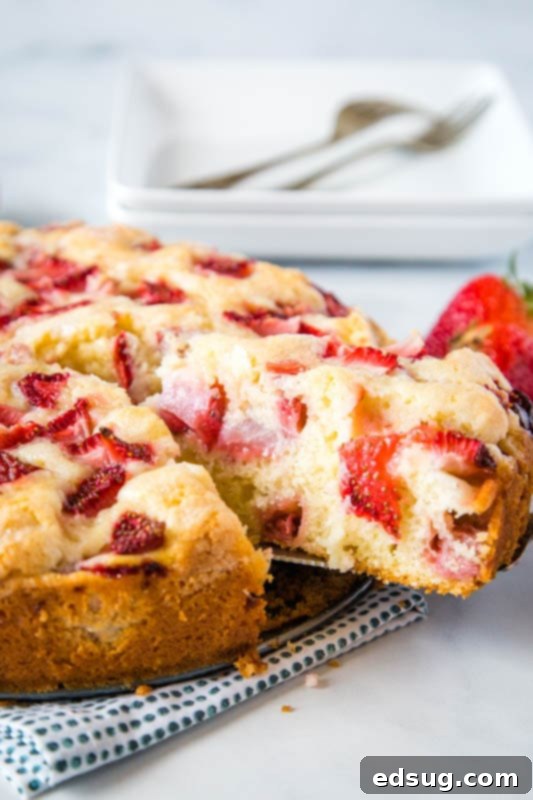 Velvet Strawberry Delight 3 French Strawberry Cake with fresh strawberries on top, showcasing the golden crust