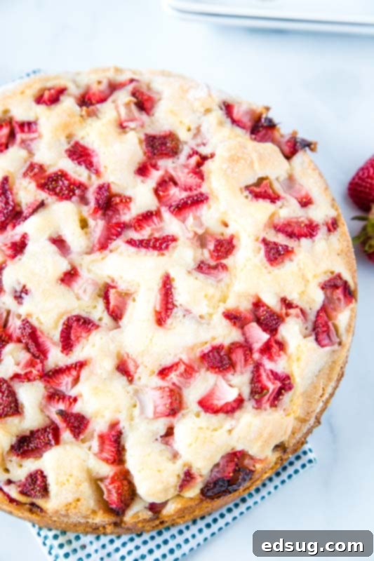 Velvet Strawberry Delight 4 Easy Strawberry Cake with tons of fresh strawberries, highlighting the dense, moist crumb