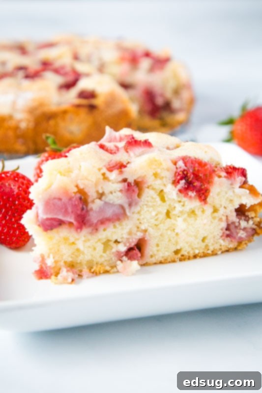 Velvet Strawberry Delight 5 Easy Strawberry Cake that is great with just about any berries, sliced and ready to serve