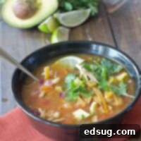 Zesty Chicken Tortilla Soup 3 img 3414 6
