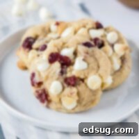 Irresistible White Chocolate Cranberry Cookies 2 Close up of a plate with three white chocolate cranberry cookies on it