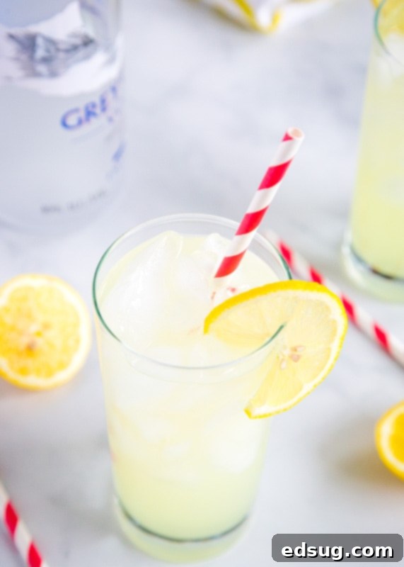 Refreshing Vodka Lemonade 4 Two glasses of refreshing Vodka Lemonade with lemon slices and ice, perfect for a summer day
