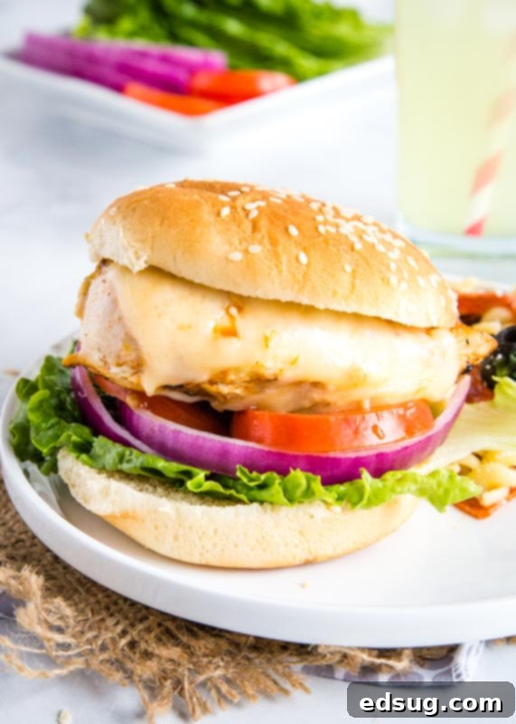 Signature Grilled Chicken Sandwich 2 Delicious grilled chicken sandwich with melted pepper jack cheese on a toasted bun