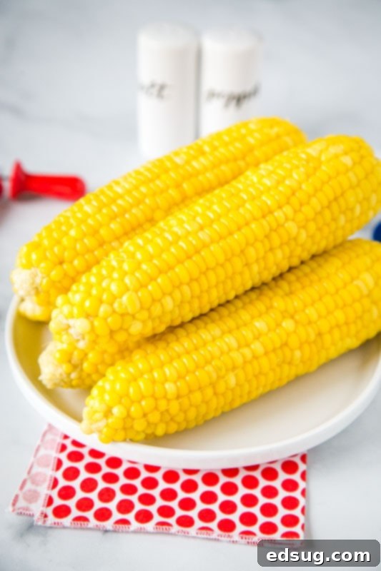 Easy Instant Pot Corn on the Cob 4 Instant Pot corn on the cob stacked on a white plate, showcasing its golden kernels and ready-to-eat appearance.