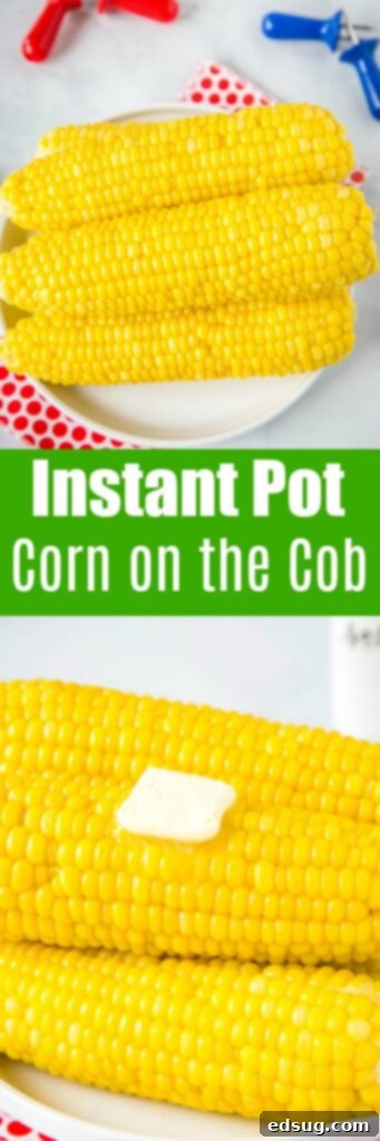 Easy Instant Pot Corn on the Cob 6 Instant Pot Corn on the Cob - an easy side dish you can make all summer long. The corn comes out juicy, tender, and perfect every time!