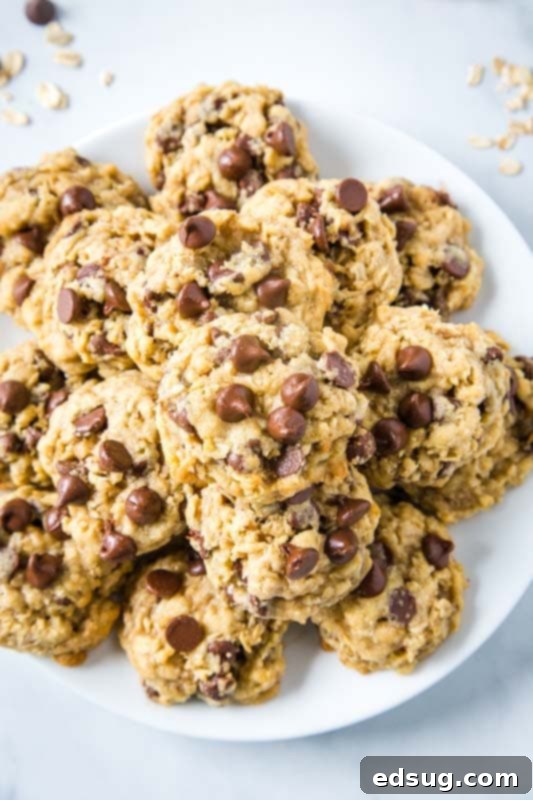 chewy oatmeal cookies piled on a white plate