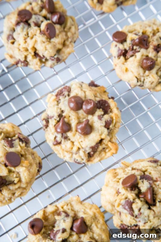 oatmeal chocolate chip cookies on a cooling rack