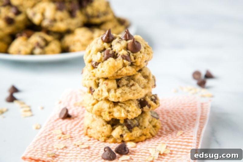 Oatmeal Chocolate Chip Cookies - super soft and chewy oatmeal cookies that are loaded with chocolate chips! A great base to add raisins, nuts, or just about anything else to!