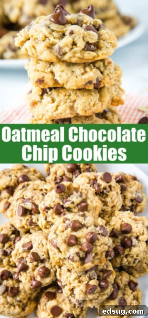 oatmeal chocolate chip cookies close up for pinterest