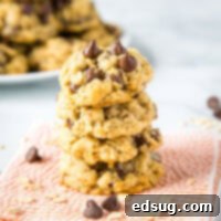 Oatmeal Chocolate Chip Cookies - super soft and chewy oatmeal cookies that are loaded with chocolate chips! A great base to add raisins, nuts, or just about anything else to!