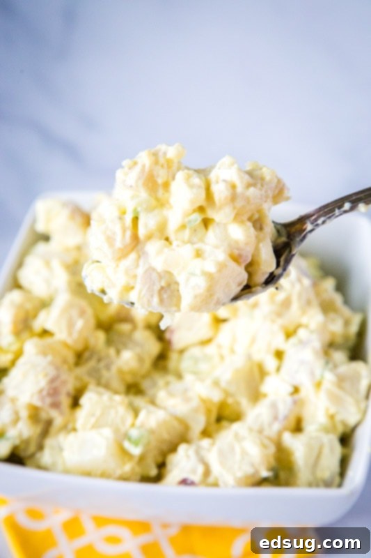Timeless Potato Salad 3 spoonful of homemade potato salad over a white bowl of potatoes