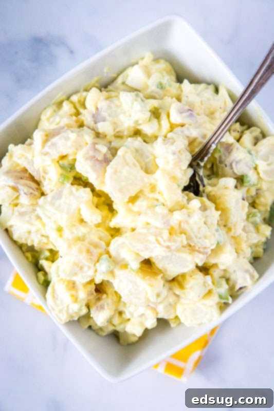 Timeless Potato Salad 5 easy potato salad recipe in white bowl with a spoon