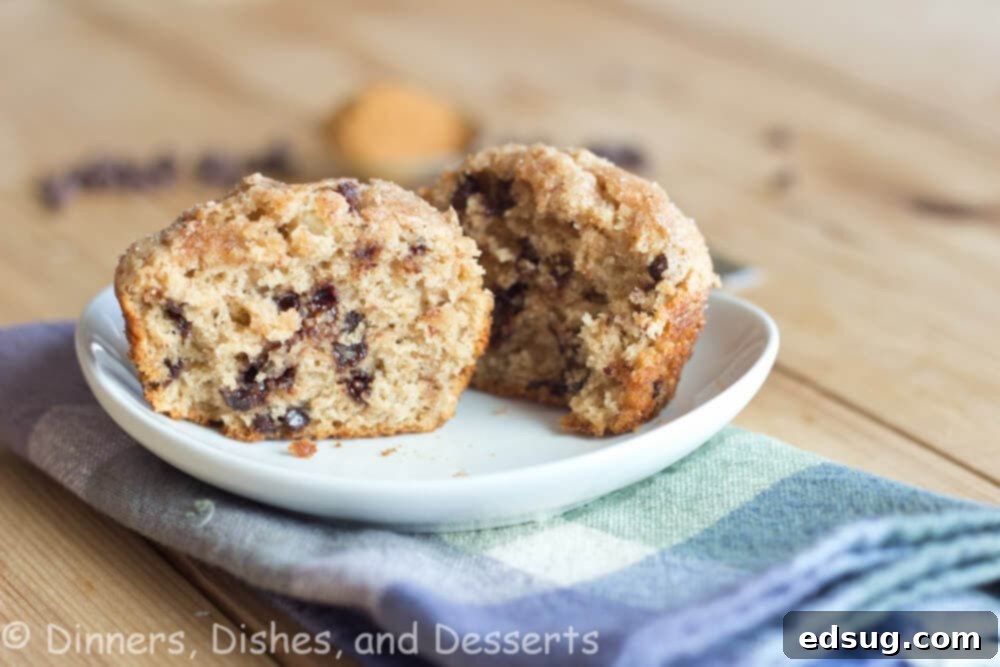 Delicious cinnamon chocolate chip muffins arranged on a plate, ready to be enjoyed