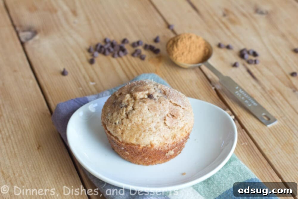 Close-up shot of baked cinnamon chocolate chip muffins, showcasing their fluffy texture and abundance of chocolate chips