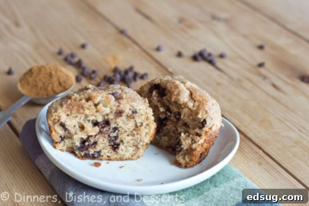 Freshly baked cinnamon chocolate chip muffins cooling on a wire rack, with some already on a plate