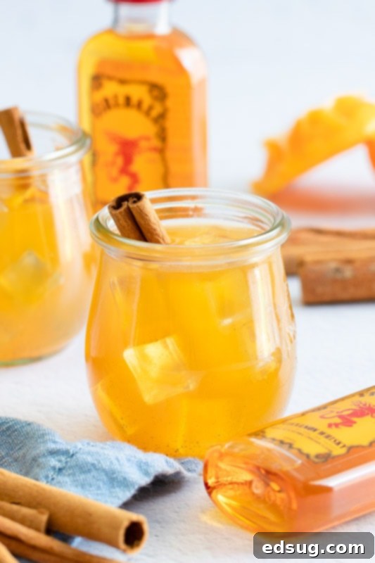 apple cider cocktail in glass with cinnamon stick