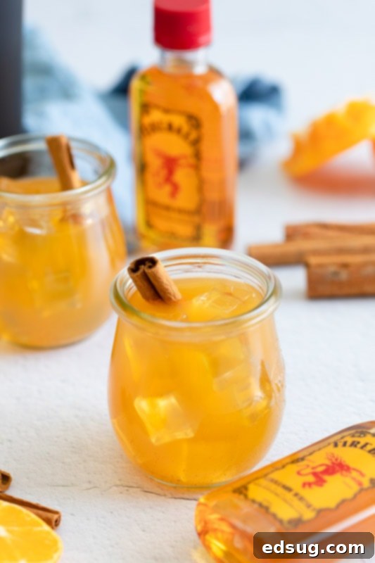 apple cider drink in glass with cinnamon stick