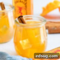 Fireball Apple Cider Cocktail in a glass with a cinnamon stick.