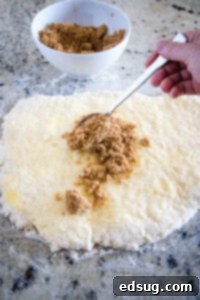 Warm Cinnamon Swirls 10 brown sugar filling being sprinkled on dough
