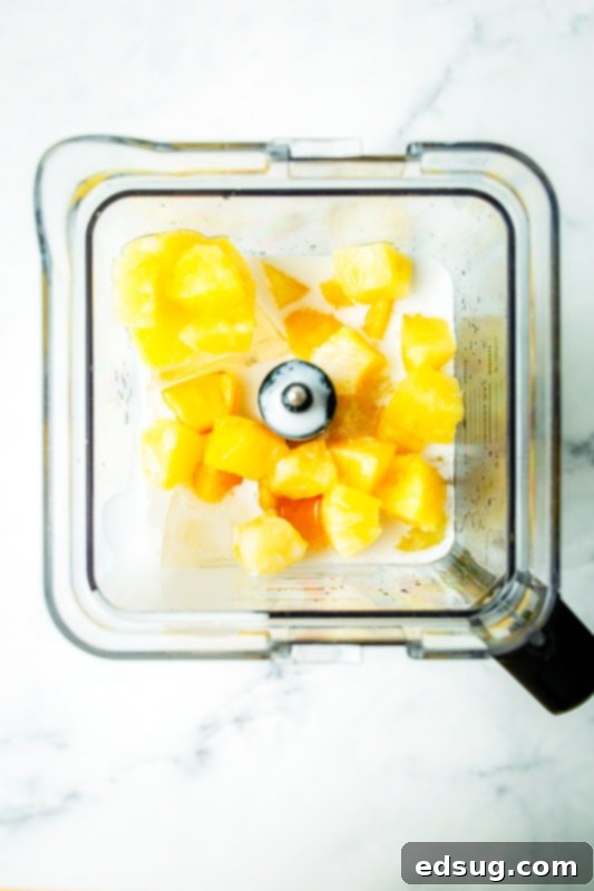 Liquid Sunshine 5 Blender filled with pineapple and coconut milk, ready for blending