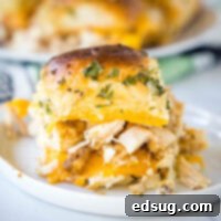 cropped close up turkey slider on white plate