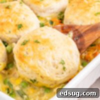 cropped close up turkey pot pie casserole