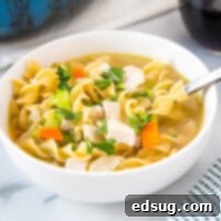 cropped in pic of turkey soup