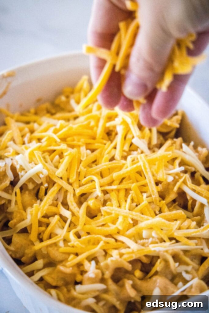 Enchilada Pasta Bake 5 sprinkling cheese over a casserole dish