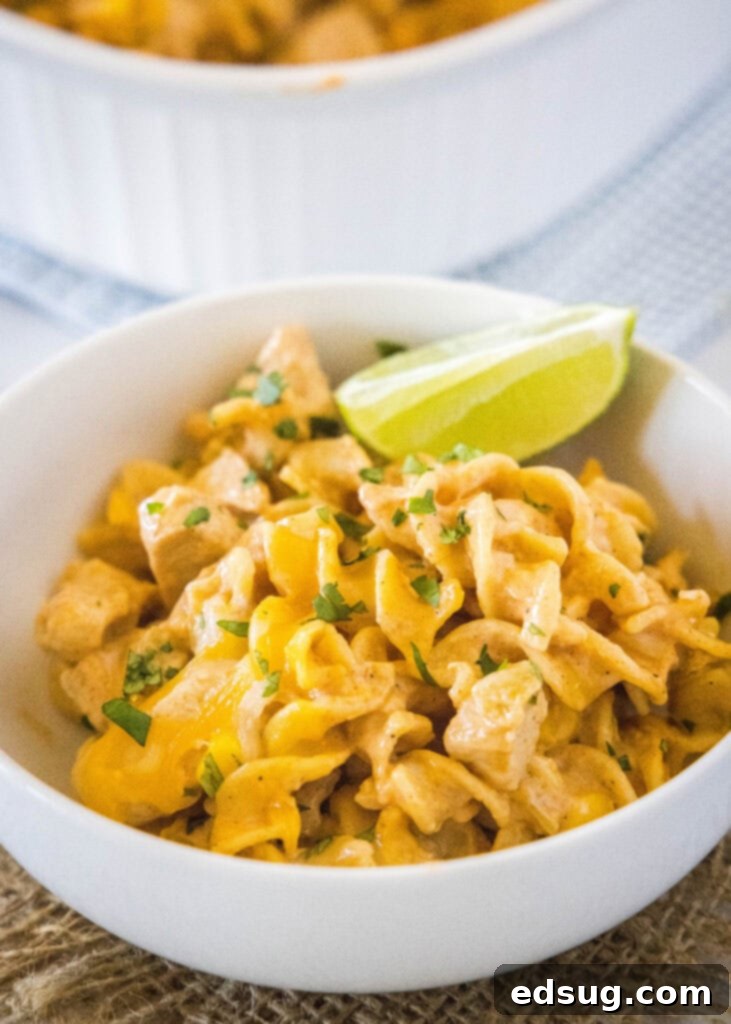 Enchilada Pasta Bake 7 pasta topped with cheese and cilantro in a bowl