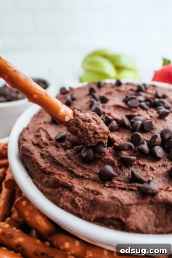 Sweet Chocolate Hummus 6 chocolate hummus in a bowl with a single pretzel stick, emphasizing the perfect balance of sweet and salty