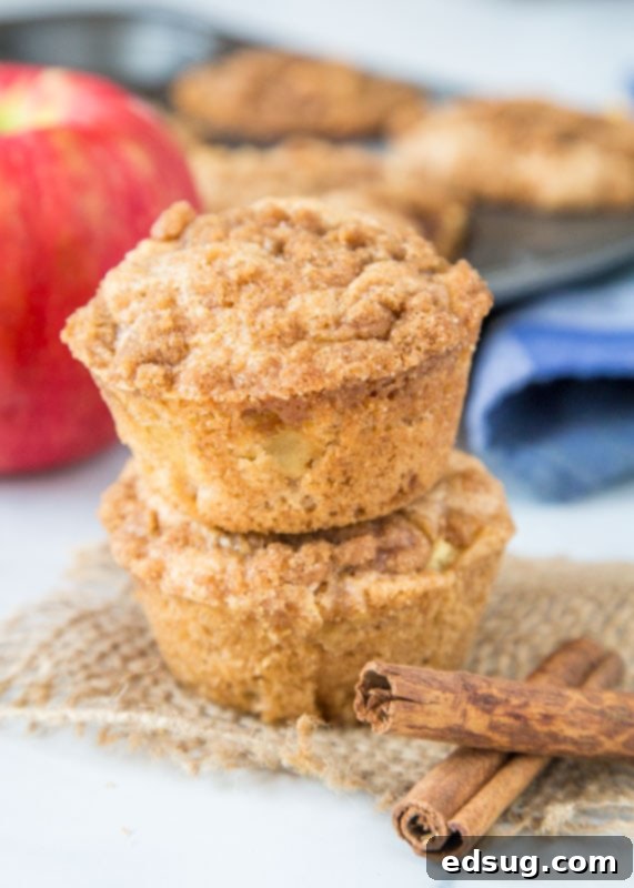 Warm Apple Cinnamon Muffins 2 Stacked apple muffins next to cinnamon sticks, highlighting the streusel topping