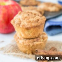 Apple Cinnamon Muffins - a great easy muffin loaded with apples and plenty of cinnamon. They are completely with a cinnamon struesel topping and make for a delicious breakfast or brunch!