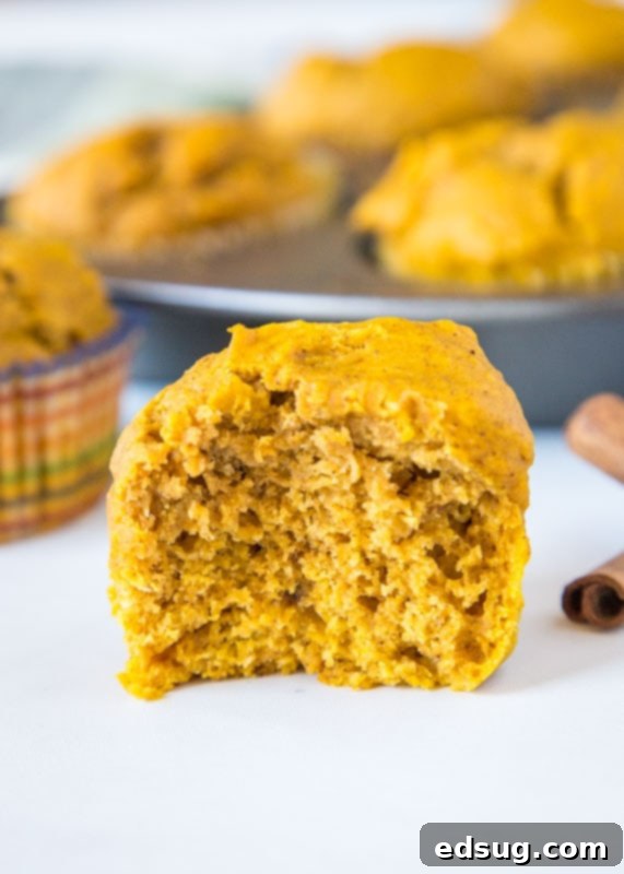 Wholesome Pumpkin Delights 2 close up pumpkin muffin with bite missing