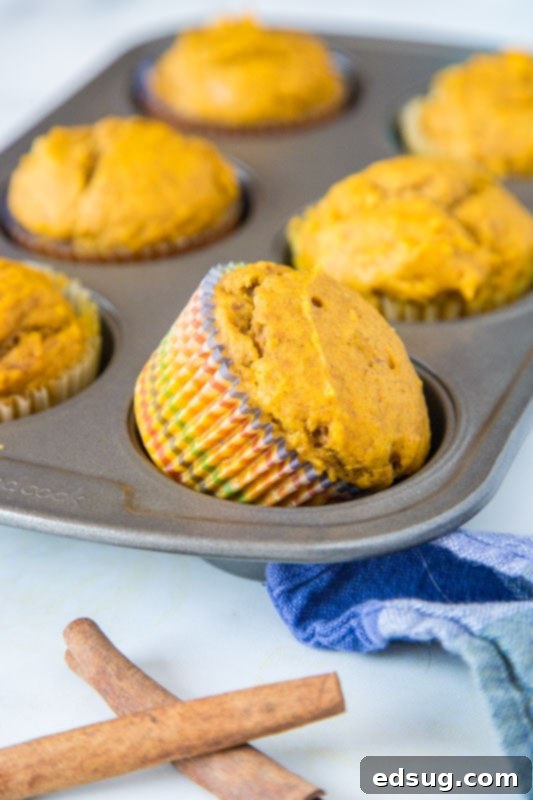 Wholesome Pumpkin Delights 3 pumpkin muffins in muffin tin