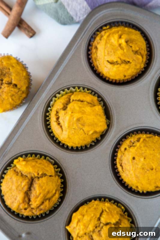 Wholesome Pumpkin Delights 5 pumpkin muffins in muffin tin