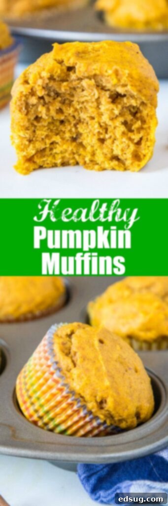 Wholesome Pumpkin Delights 6 close up of healthy pumpkin muffins