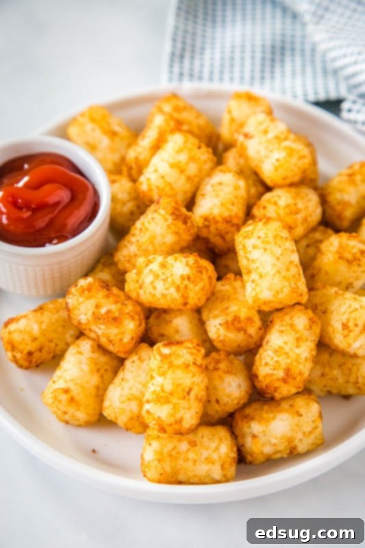 Crispy Air Fryer Tater Tots 2 crispy tater tots on white plate with ketchup