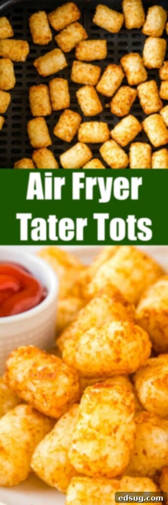 Crispy Air Fryer Tater Tots 5 close up air fryer tater tots